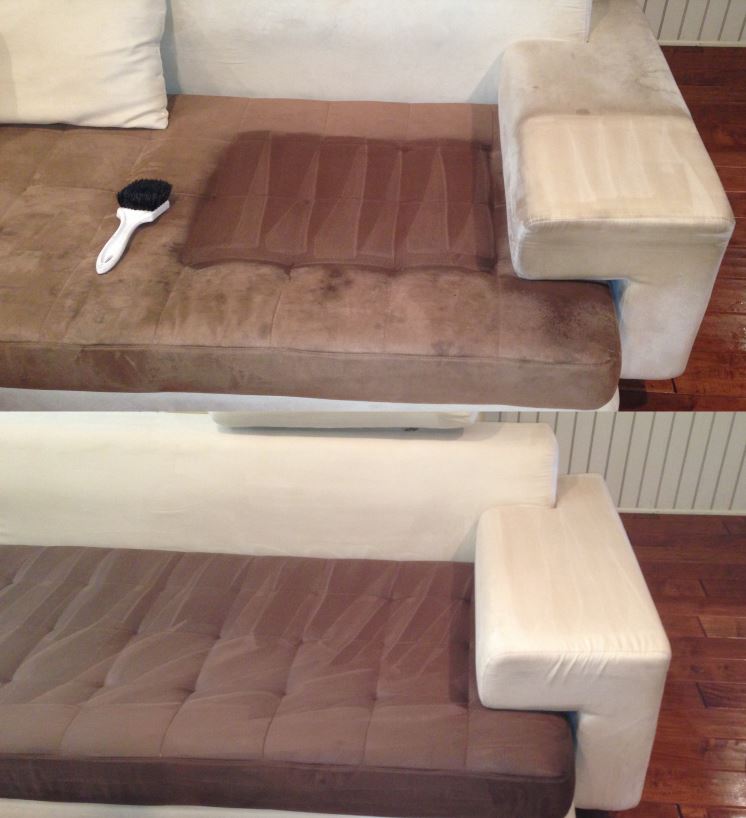 Living room after an upholstery cleaning service